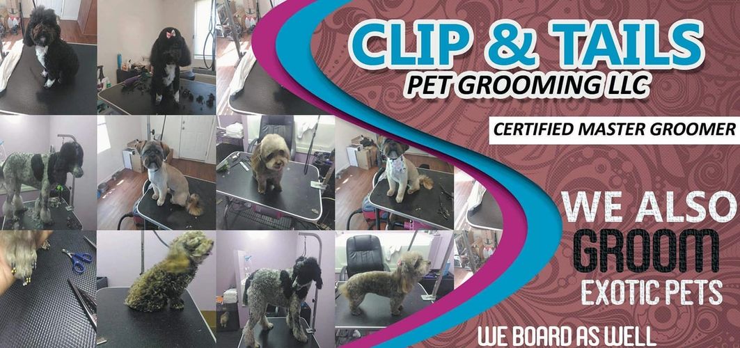 CLIP AND TAILS PET GROOMING LLC Grooming, Borading, Pet Services